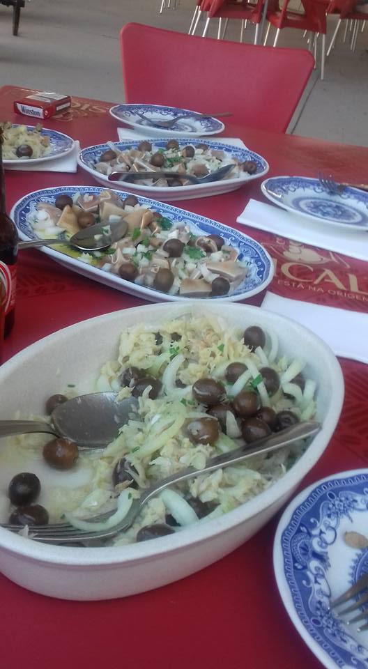 13903419_814411518695251_7723751103101248081_n