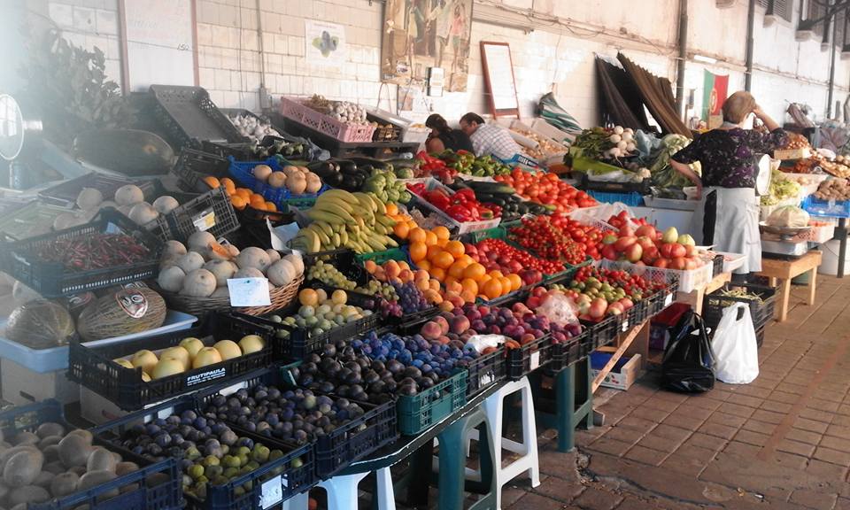 14040203_10208282747441406_8174388324071546001_n