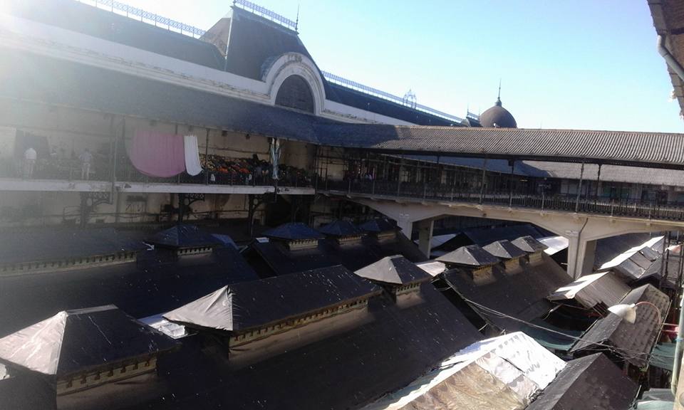 14102288_10208282747161399_6744785191631822951_n