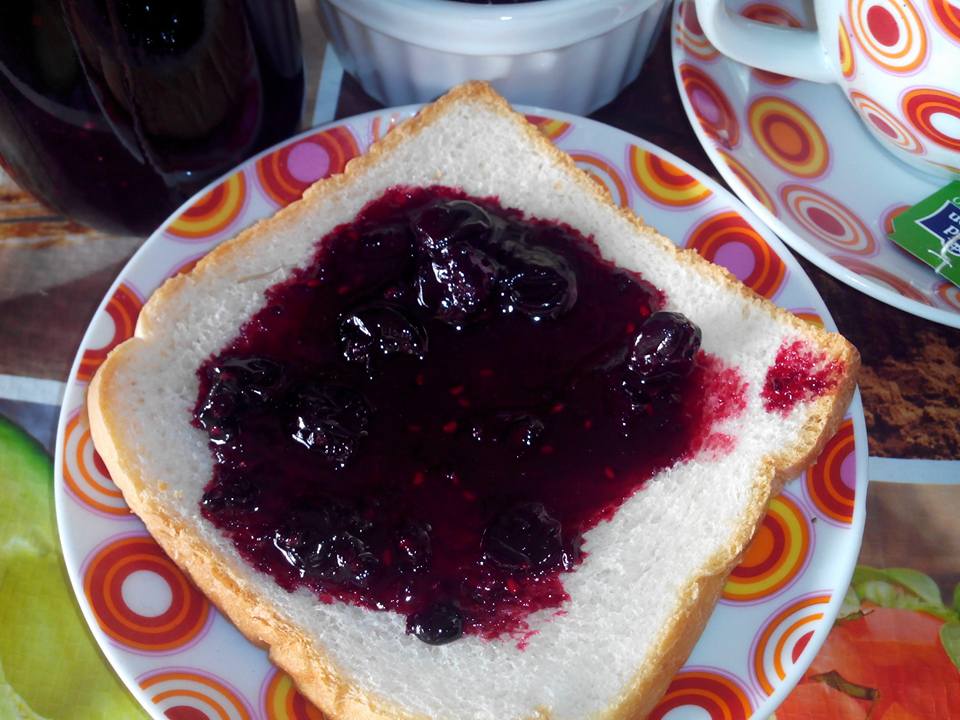 22448488_10211901901678000_7733989122822627000_n