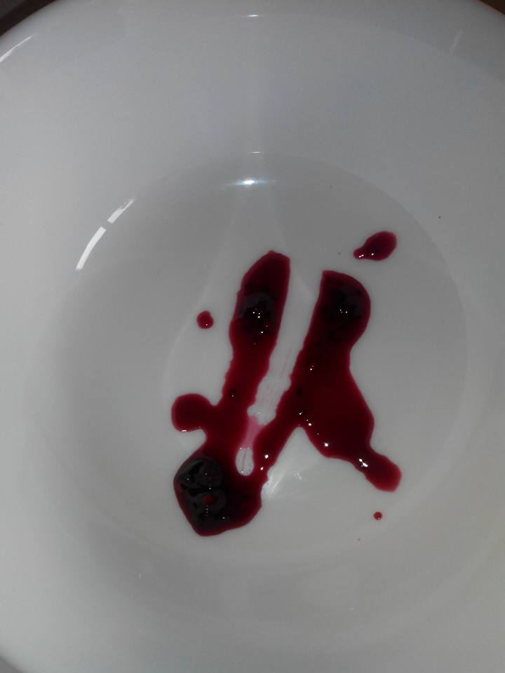 22449752_10211901904398068_4801871699339567461_n