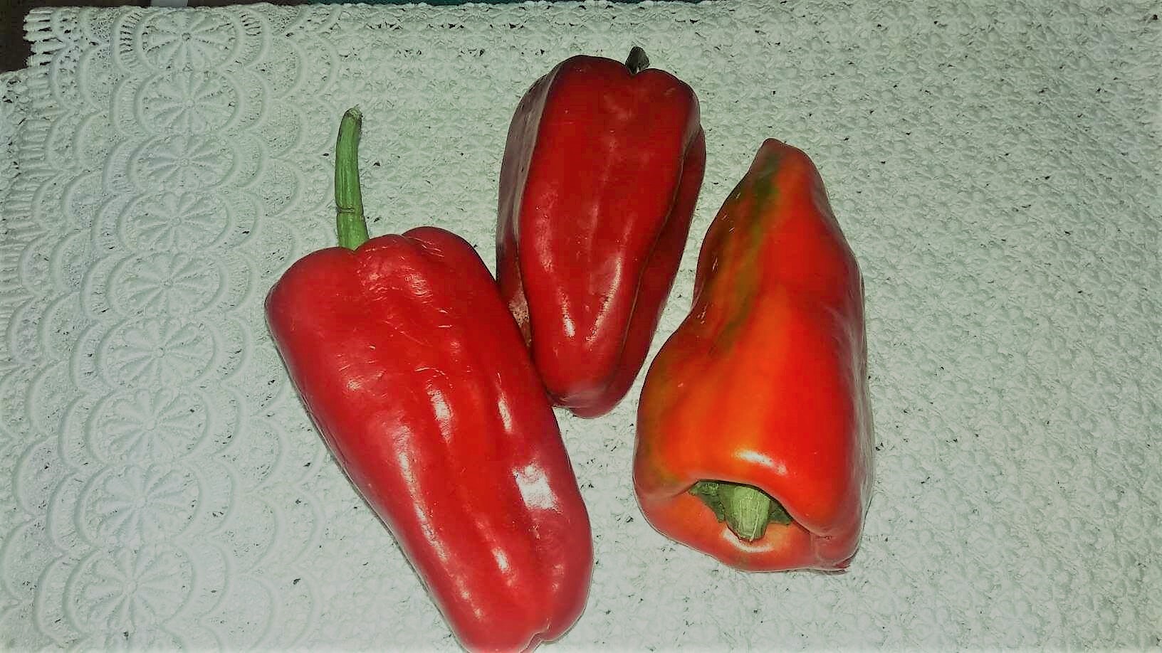 45844647_622637074819113_96894483672596480_n