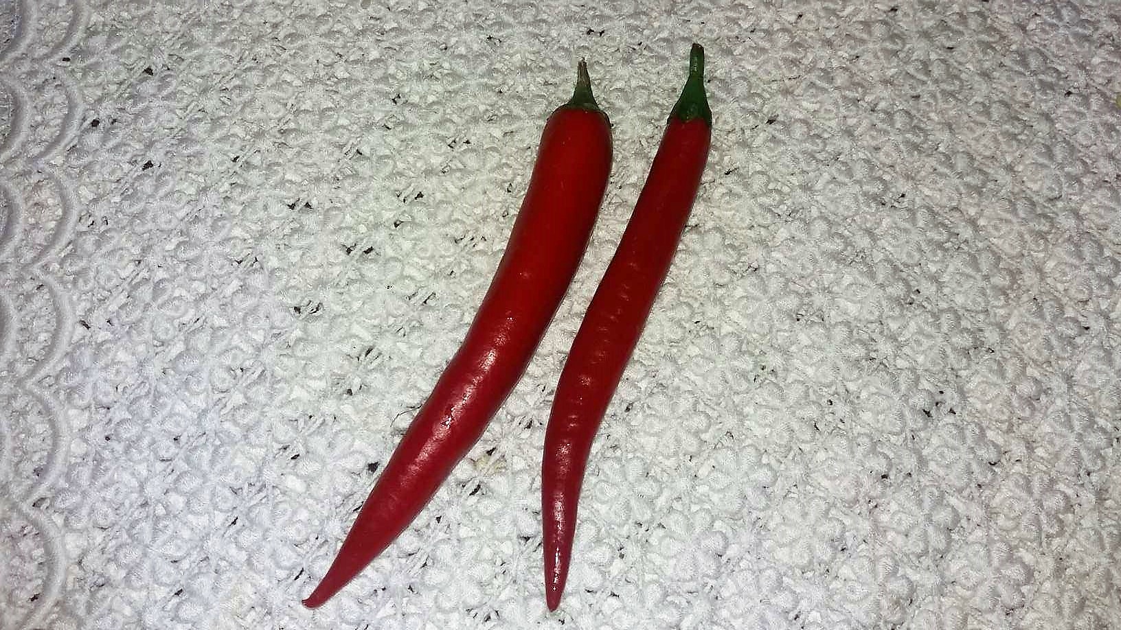 45869379_556456851447172_5132740464251764736_n