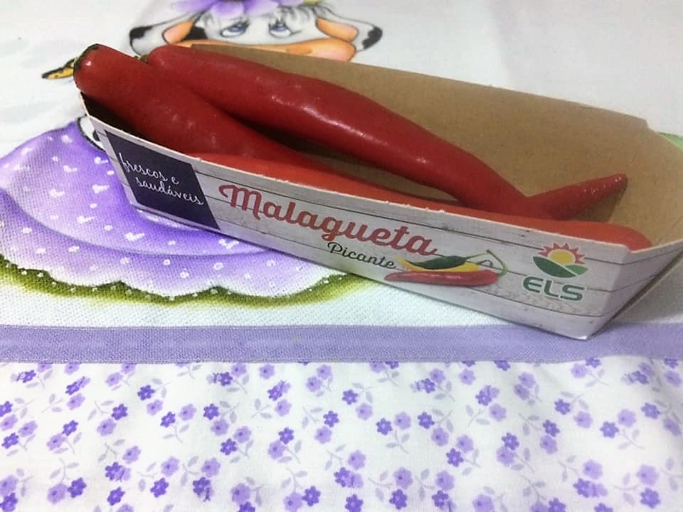 50253084_10215143273830278_5156340257276297216_n