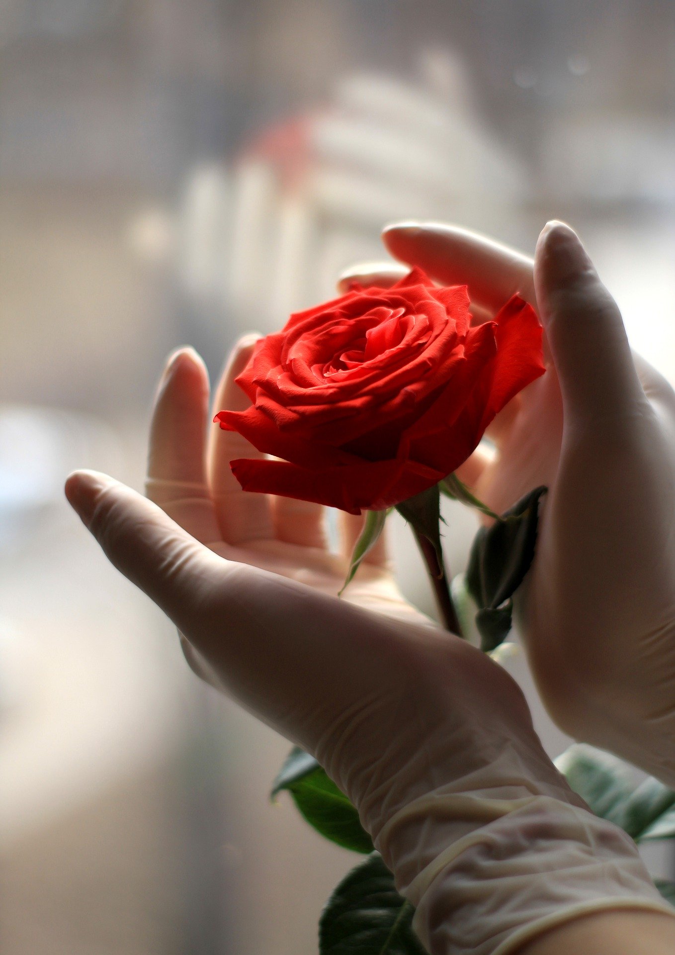 coronavirus-5000826_1920