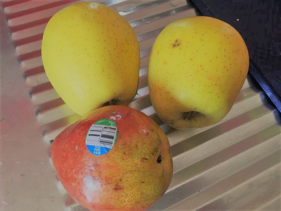 103648117_10219261386900531_1843476812025307994_n