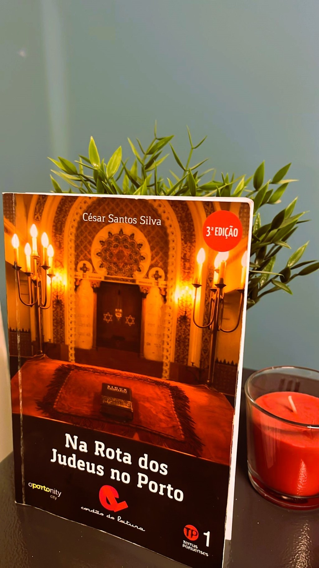 A Fascinante História Judaica do Porto: Uma Resenha de “Na Rota dos Judeus no&nbsp;Porto”