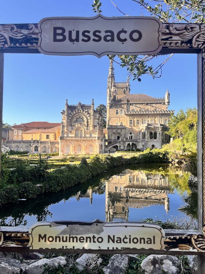 A Magia da Mata do Bussaco: Um Refúgio Histórico e&nbsp;Natural