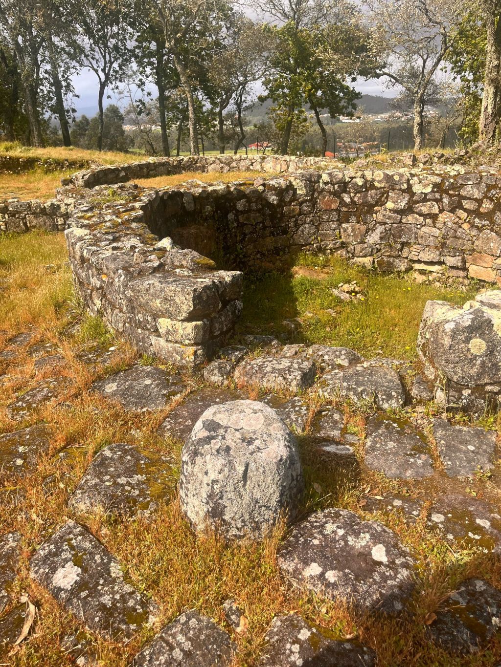Cividade de Terroso: vestígios vivos de um passado&nbsp;milenar